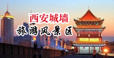 aaaa爽片中国陕西-西安城墙旅游风景区