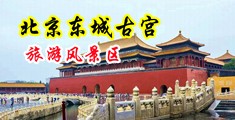 抽插美女肉屄综合网中国北京-东城古宫旅游风景区
